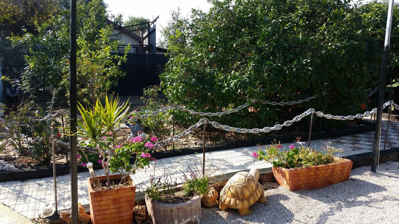 Asbn Magic Garden Acre Exterior foto