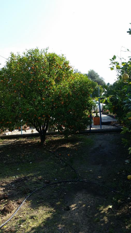 Asbn Magic Garden Acre Exterior foto