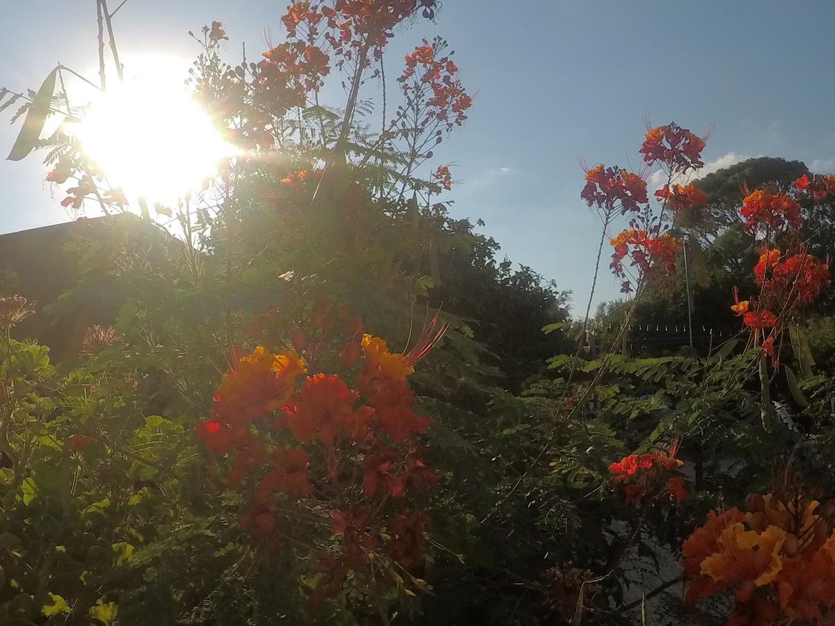 Asbn Magic Garden Acre Exterior foto
