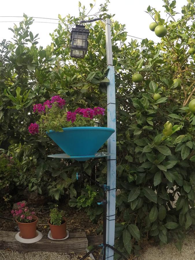 Asbn Magic Garden Acre Exterior foto
