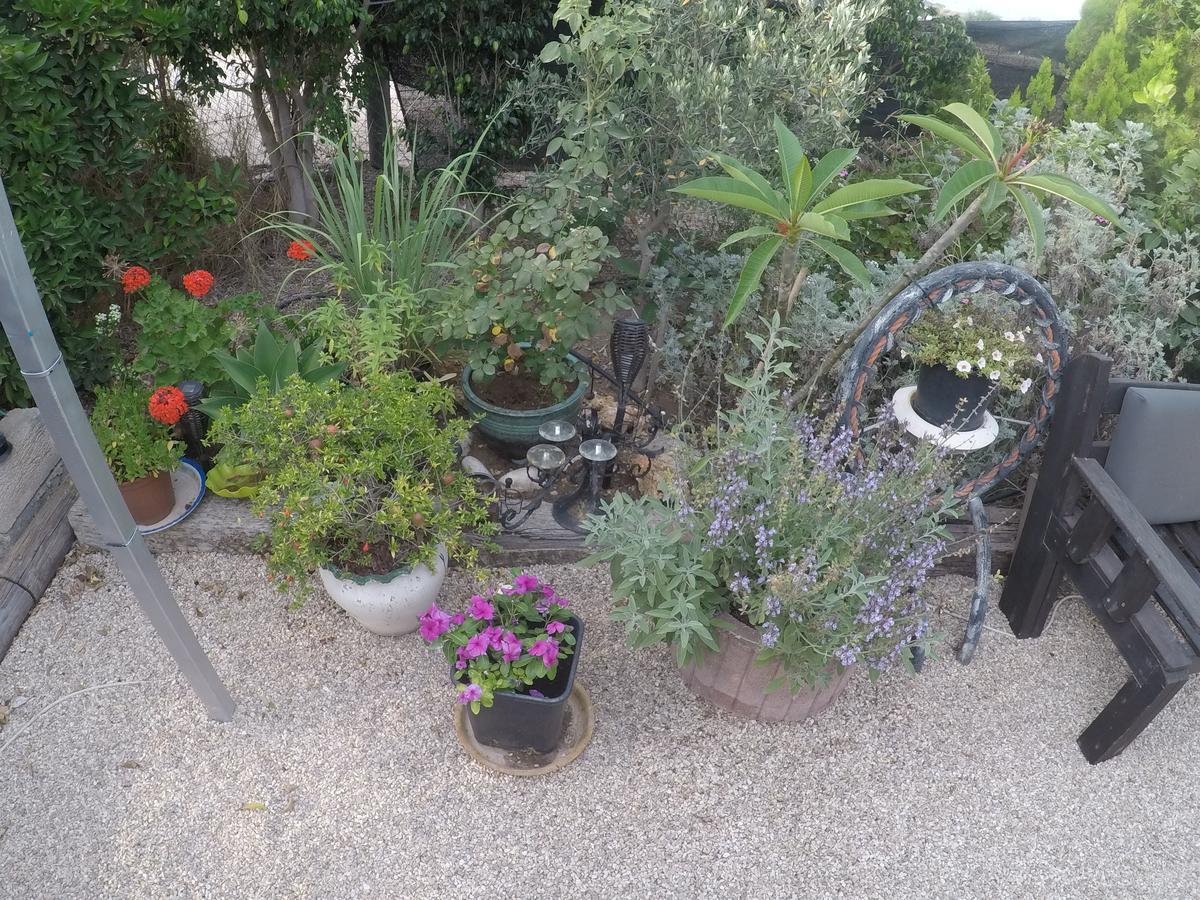 Asbn Magic Garden Acre Exterior foto